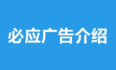 必应（Bing）海外推广介绍